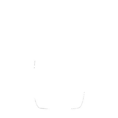 Polar Camel 10 oz Round Rocks Glass